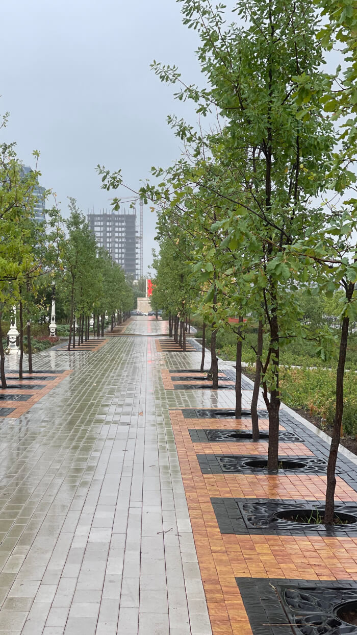 Приствольная решетка для дерева ZKING CRUST 1.2х1.2м Черная в Магнитогорске фото