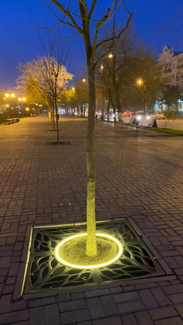 Приствольная решетка для дерева ZKING CRUST 1.2х1.2м Черная в Магнитогорске фото